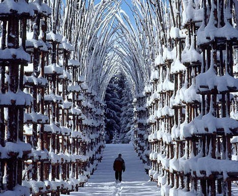 Snow Cathedral, Norway