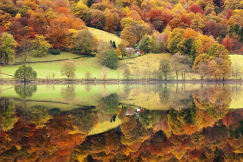 Autumn Reflection, Grasmere, England