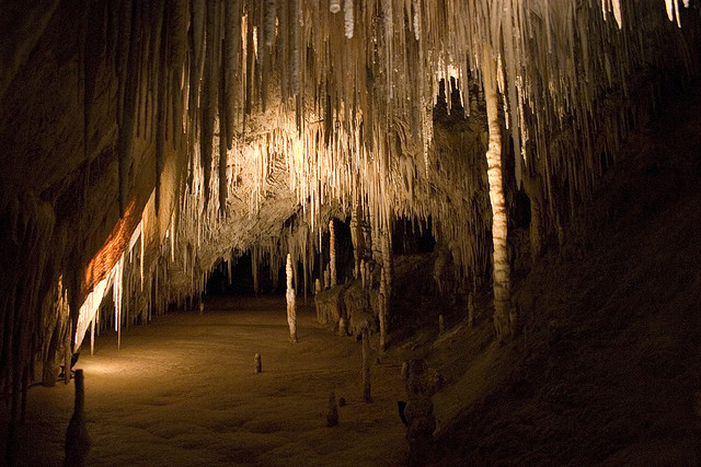 Hastings Cave - south of Hobart, Tasmania.