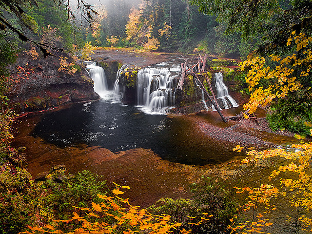 by Konejita on Flickr.Autumn colours at Lower Lewis River Falls - Gifford Pinchot National Forest, Washington.