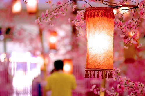 Cherry Blossom Lantern, Kuala Lumpur, Malaysia