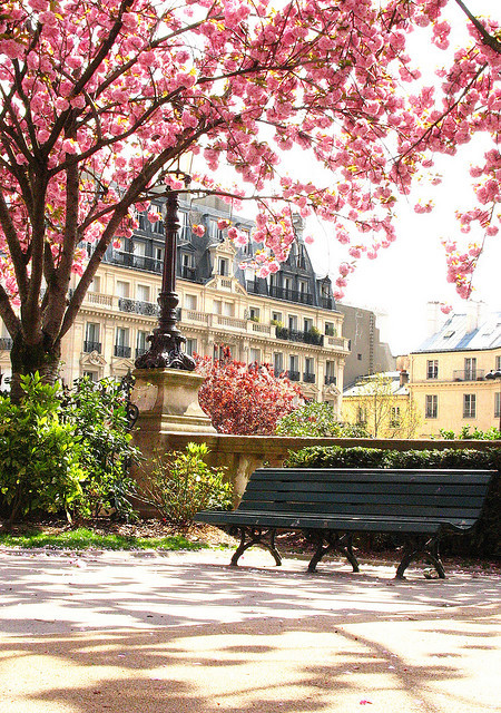Springtime Park, Paris, France