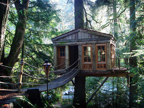 Tree House, Seattle, Washington