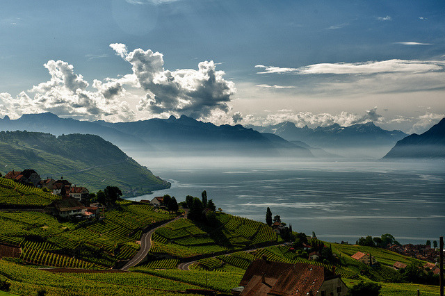 by DeGust on Flickr.Morning view of Lake Geneva fron Grandvaux - Canton du Vaud, Switzerland.