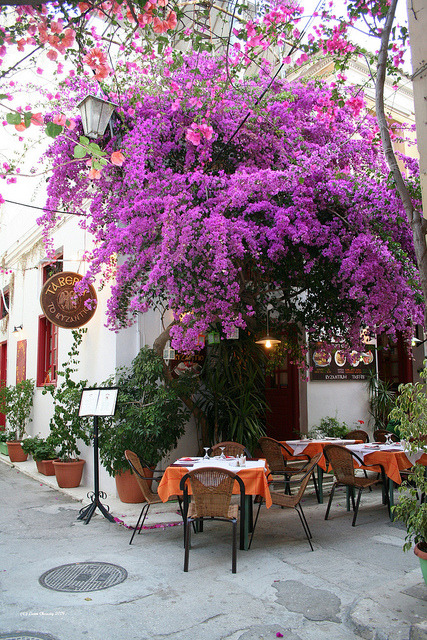by Liam Cheasty on Flickr.Colourful dining in Nafplio, a seaport town in the Peloponnese in Greece.