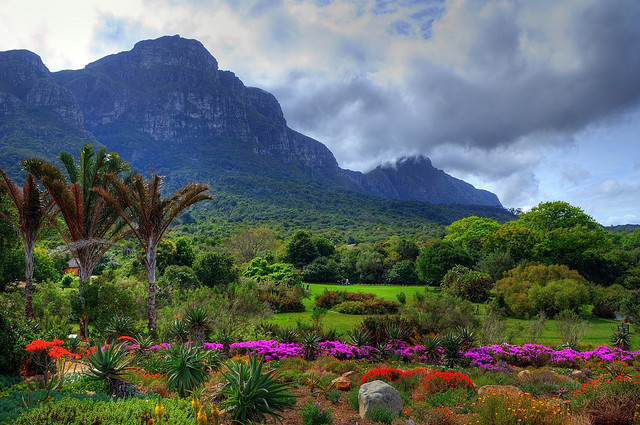 by communiquel on Flickr.Kirstenbosch National Botanical Garden in Cape Town, South Africa.