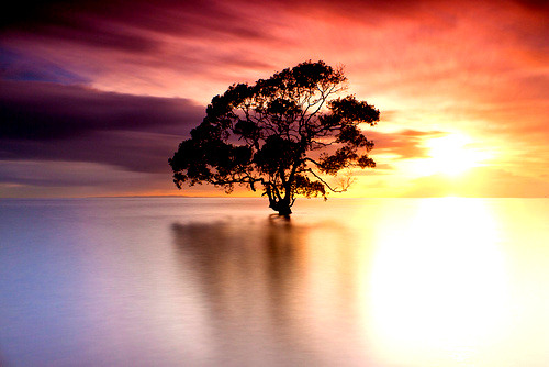 Sunrise, Nudgee Beach, Australia