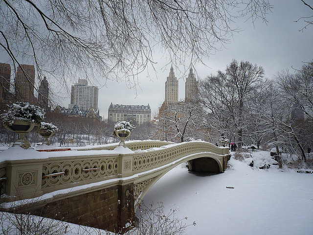 Bow Bridge in the Snow, Central Park, New York City