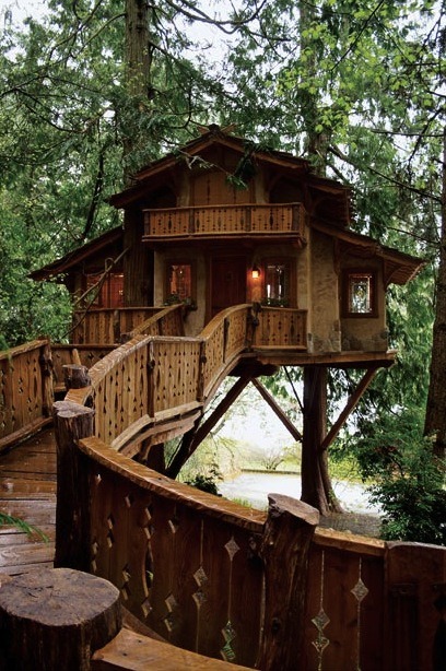 Treehouse, Seattle, Washington