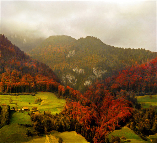 Autumn, The Alps, Switzerland