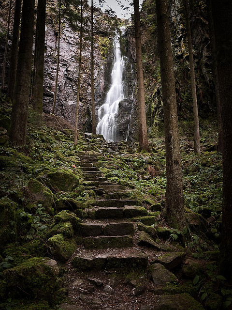 Waterfall Steps, The Black Forest, Germany