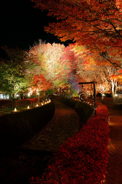 Lake Kawaguchi Autumn Festival, Japan