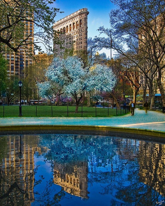Reflection, Madison Square Park, New York City