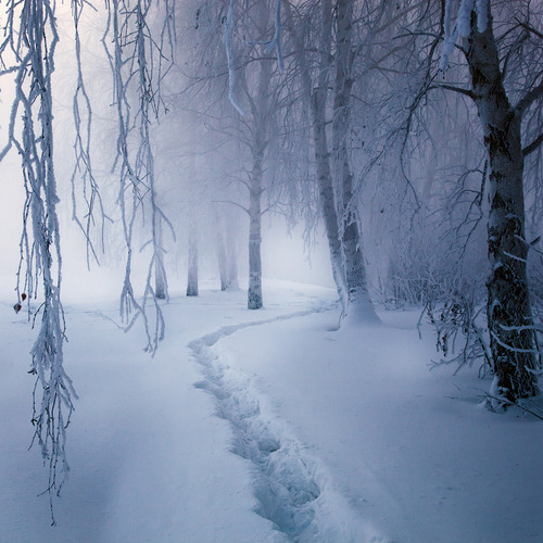 Snow Path, Finland
