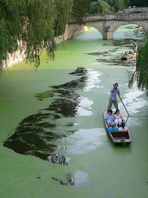 Boating on river Cam in Cambridge, England