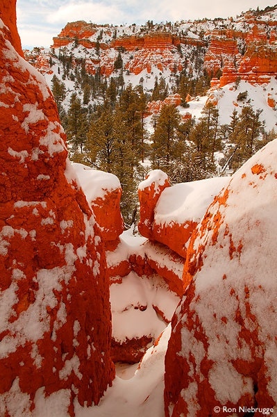 Red Rocks, Utah