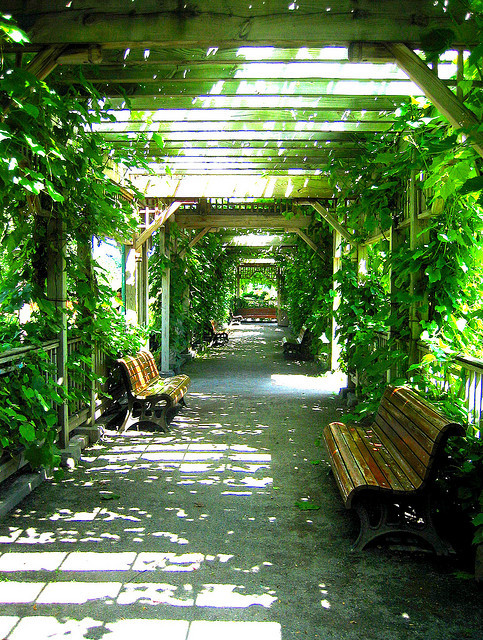 Passageway in Montreal Botanical Garden, Quebec, Canada