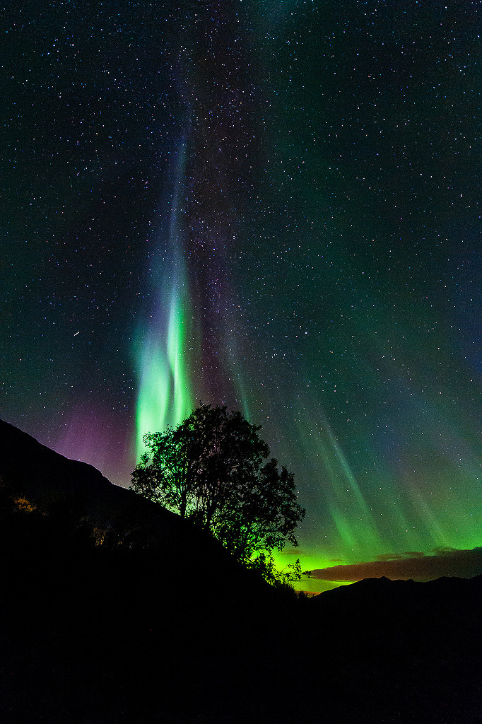 Stunning Photos of the Aurora Borealis in Norway
