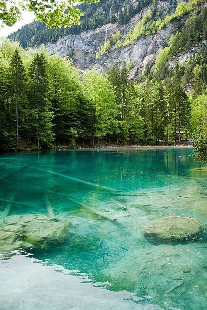 Blausee  in Kander Valley / Switzerland
