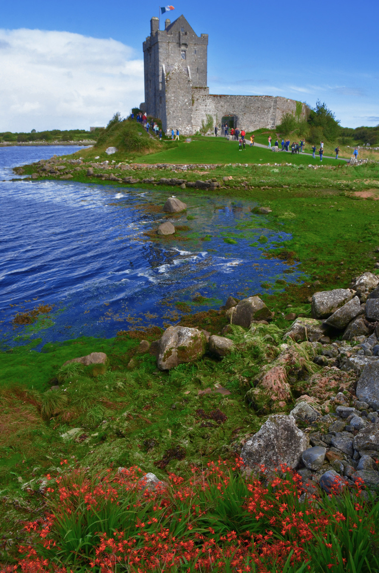 Dunguaire Castle, Galway / Ireland